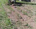 thumbnail-tanah-dekat-perumahan-di-sukadanaham-tkb-2