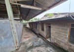 thumbnail-dijual-gudang-di-parung-panjang-bogor-8