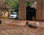 thumbnail-dijual-tanah-dibawah-njop-pinggir-jl-raya-di-bintaro-dkt-pondok-indah-5