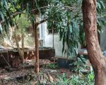 thumbnail-dijual-tanah-dibawah-njop-pinggir-jl-raya-di-bintaro-dkt-pondok-indah-14