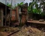 thumbnail-dijual-tanah-dibawah-njop-luas-1194-m-pinggir-jalan-raya-di-bintaro-12