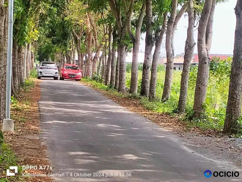 Djual Tanah Pekarangan Kosong Di Timur Kantor Kecamatan Mlati Sleman