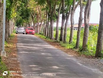 Djual Tanah Pekarangan Kosong Di Timur Kantor Kecamatan Mlati Sleman