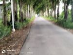 thumbnail-djual-tanah-pekarangan-kosong-di-timur-kantor-kecamatan-mlati-sleman-1