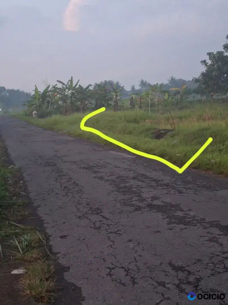 Djual Tanah SHM Sawah Di Timur Pasar Ngino Margoagung Sayegan Sleman