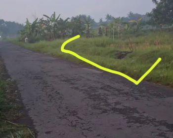 Djual Tanah SHM Sawah Di Timur Pasar Ngino Margoagung Sayegan Sleman