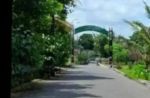 thumbnail-dijual-tanah-sawah-di-timur-ringin-pendowoharjo-sleman-sleman-1