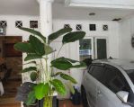 thumbnail-dijual-rumah-di-srengseng-dekat-mall-kampus-tol-rs-2