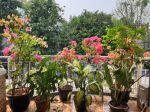 thumbnail-dijual-rumah-di-srengseng-dekat-mall-kampus-tol-rs-11