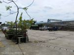 thumbnail-dijual-cepat-tanah-di-cakung-cilincing-4-ha-open-yard-cor-beton-siap-bangun-1