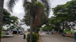 thumbnail-disewakan-tanah-di-jln-nasional-iii-kota-cilegon-banten-4